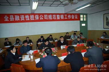全縣融資性擔(dān)保公司規(guī)范整頓工作會(huì)議順利召開(kāi)