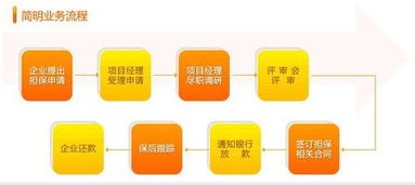 融資性擔保公司的業(yè)務流程與核心運作機制